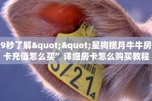 9秒了解""星狗揽月牛牛房卡充值怎么买”详细房卡怎么购买教程