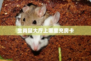 今日话题""玖天大厅链接牛牛房卡""房卡充值教程-知乎
