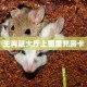 今日话题""玖天大厅链接牛牛房卡""房卡充值教程-知乎