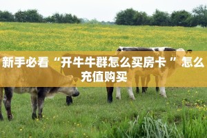 房卡教程经验""王者大厅链接金花房卡""怎么购买房卡‘获取大厅链接
