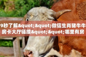 普及一下“微信链接房间房卡”获取房卡教程 