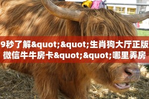 玩家必看“新长虹房卡在哪买”教程房卡分享