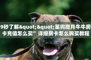 三秒盘点""超圣金花房卡充值""房卡充值教程