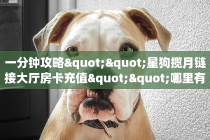 今日话题""超凡大厅链接牛牛房卡""在哪里可以拿到链接,充房卡