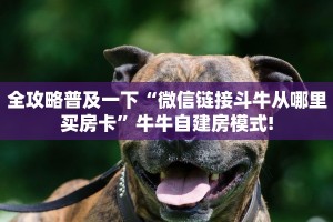 全攻略普及一下“微信链接斗牛从哪里买房卡”牛牛自建房模式!