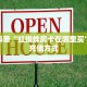 一分钟教会你""新果汁大厅链接金花房卡"充值/房卡100张