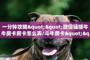 一分钟攻略""微信链接牛牛房卡房卡怎么弄/斗牛房卡""购买渠道!房