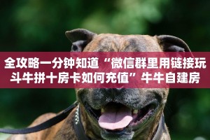 全攻略一分钟知道“微信群里用链接玩斗牛拼十房卡如何充值”牛牛自建房
