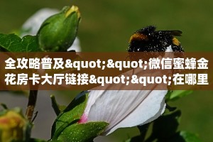 一分钟实测分享“海贝之城上下分房卡代理”哪里获取房卡教程