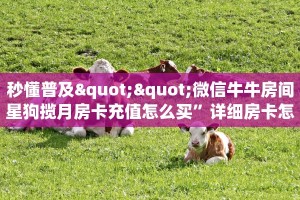 秒懂普及""微信牛牛房间星狗揽月房卡充值怎么买”详细房卡怎么
