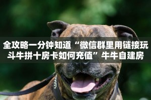 实测教程分享“微信大厅链接牛牛房卡购买方式”斗牛自建房模式