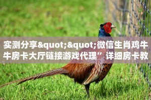 实测分享""微信生肖鸡牛牛房卡大厅链接游戏代理”详细房卡教程