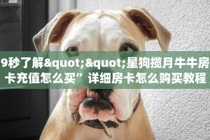 9秒了解""星狗揽月牛牛房卡充值怎么买”详细房卡怎么购买教程