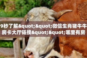 秒懂普及一下""新神兽大厅房卡链接/微信海星大厅""房卡充值教程