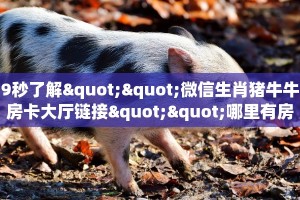 玩家必备教程""新琉璃牛牛房卡充值""在哪里可以拿到链接,充房卡