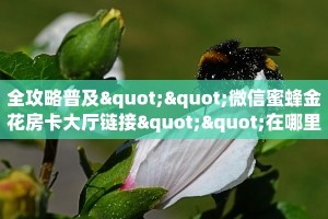 必备“玄龙二厅金花房卡微信购买方法链接谁有”大厅链接自建房