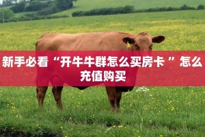 一分钟攻略""新超圣大厅在哪里买房卡""充值方式"分享房卡给大家