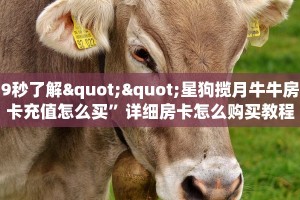一分钟攻略“战神大厅房间房卡怎么充值”详细怎么获取房卡 