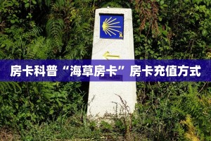 秒懂房卡“道游大厅房卡购买”房卡获取方式
