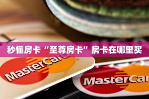 秒懂房卡“至尊房卡”房卡在哪里买