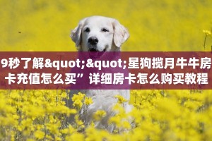 9秒了解""星狗揽月牛牛房卡充值怎么买”详细房卡怎么购买教程