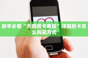 秒懂房卡“蛮虹房卡”房卡怎么搞