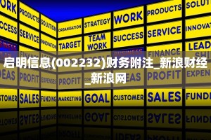启明信息(002232)财务附注_新浪财经_新浪网