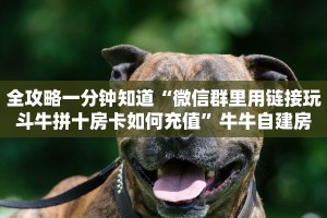 全攻略一分钟知道“微信群里用链接玩斗牛拼十房卡如何充值”牛牛自建房