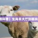 6秒盘点""海洋世界金花房卡充值""怎么购买房卡‘获取大厅链接