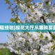 5秒懂房卡“新天地大厅怎么开房卡”详细房卡教程