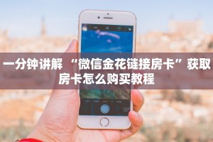 6秒盘点""东游微信金花链接房卡充值充值”获取房卡怎么购买教程