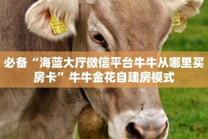 一分钟了解“皇豪互众房卡哪里买”房卡哪里购买充值