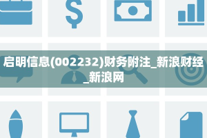 启明信息(002232)财务附注_新浪财经_新浪网