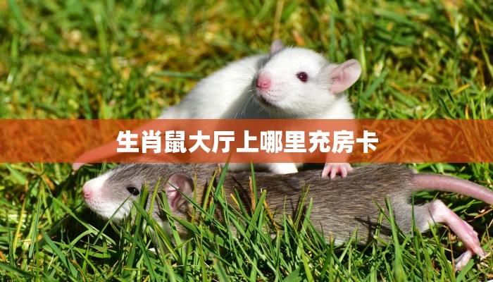 推荐一款“微信群里用链接玩牛牛”获取房卡方式  
