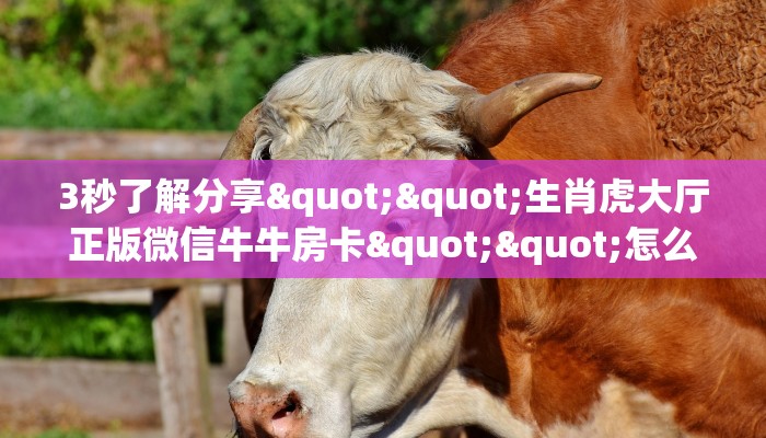 玩家必备教程""6号大厅正版微信金花房卡""哪里弄房卡怎么充值才