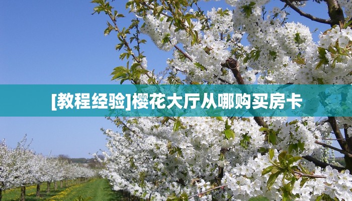 5秒懂房卡“新天地大厅怎么开房卡”详细房卡教程