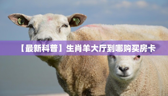 6秒盘点""海洋世界金花房卡充值""怎么购买房卡‘获取大厅链接