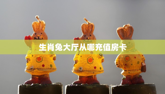 一分钟攻略“泡泡娱乐大厅房卡购买方法”金花自建房模式!