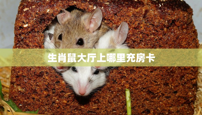 今日话题""玖天大厅链接牛牛房卡""房卡充值教程-知乎