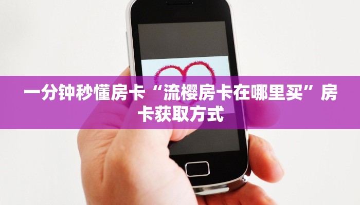 一分钟秒懂房卡“流樱房卡在哪里买”房卡获取方式