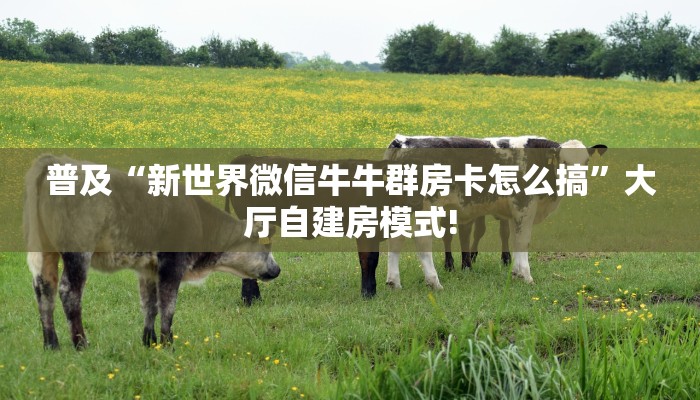 普及“新世界微信牛牛群房卡怎么搞”大厅自建房模式!