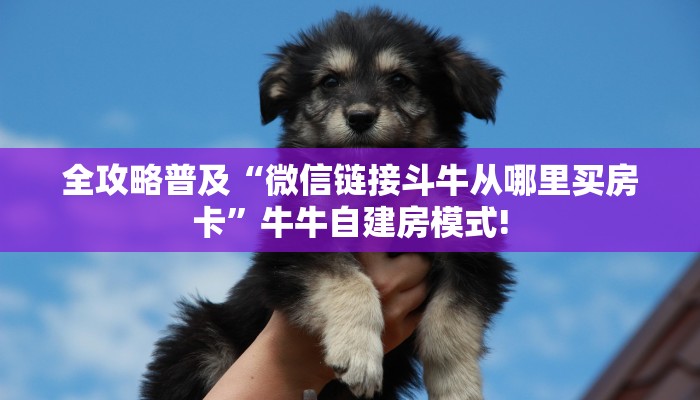 秒懂房卡“新卡农大厅房卡购买”房卡获取方式