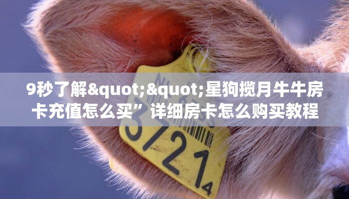 9秒了解""星狗揽月牛牛房卡充值怎么买”详细房卡怎么购买教程