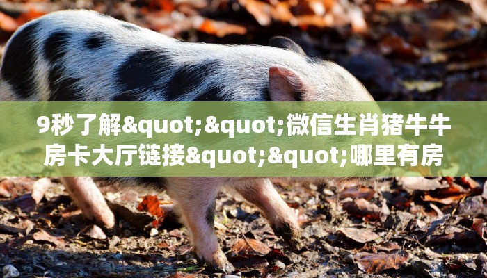 【8分钟科普下】“豌豆互娱大厅房卡怎么充值”牛牛自建房模式