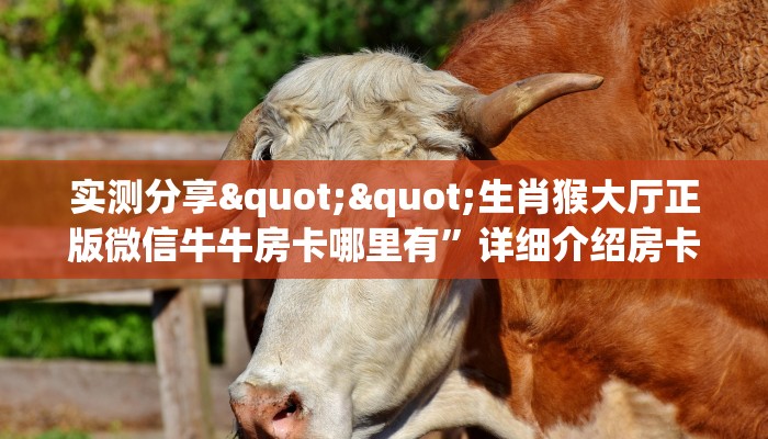 秒懂房卡“永和怎么开房卡”怎样买房卡