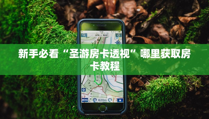 新手必看“圣游房卡透视”哪里获取房卡教程