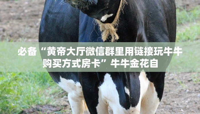 一分钟秒懂房卡“炫酷房卡在哪里买”房卡获取方式