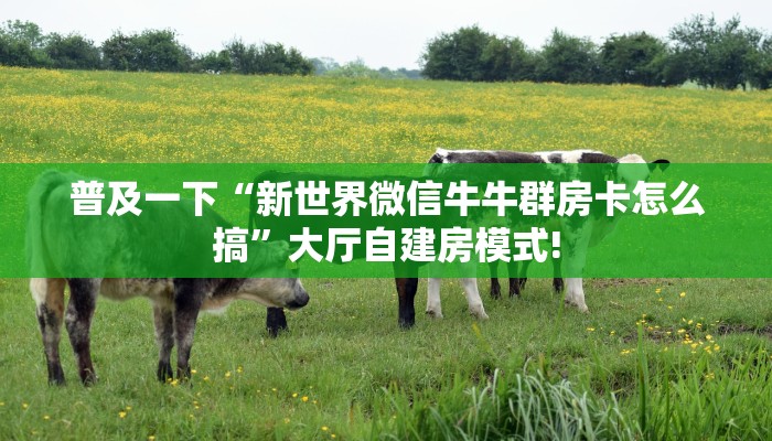 今日话题""灯笼众娱大厅正版微信牛牛房卡""购买渠道"分享房卡给