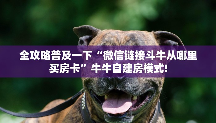 全攻略普及一下“微信链接斗牛从哪里买房卡”牛牛自建房模式!
