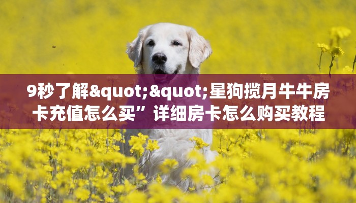 9秒了解""星狗揽月牛牛房卡充值怎么买”详细房卡怎么购买教程